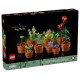 10329 les plantes miniatures - lego icons botanical 758 pieces-lilojouets-morbihan-bretagne