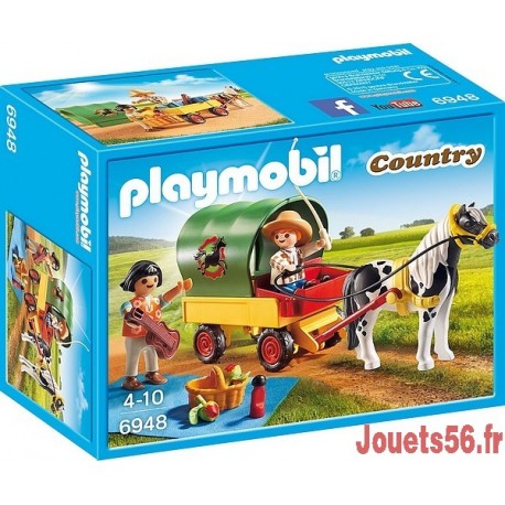 6948 ENFANTS AVEC CHARIOT ET PONEY-jouets-sajou-56