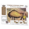 POCHETTE POCHOIRS PEINTURES RUPESTRES - 5 POCHOIRS ARTISTIQUES GEANTS A4-LiloJouets-Morbihan-Bretagne