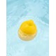 Eclabousseur de bain gaspard le canard-lilojouets-morbihan-bretagne