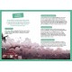 Coffret a la decouverte volcans 35 magnets livre plateau aimante-lilojouets-questembert-muzillac-morbihan