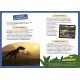 Coffret a la decouverte dinosaures 35 magnets livre plateau aimante-lilojouets-questembert-muzillac-morbihan