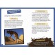 Coffret a la decouverte dinosaures 35 magnets livre plateau aimante-lilojouets-questembert-muzillac-morbihan