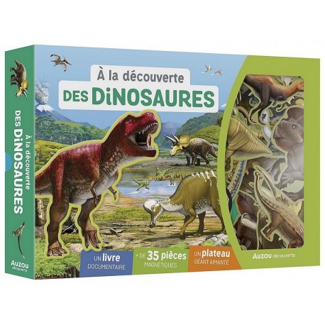 COFFRET A LA DECOUVERTE DINOSAURES 35 MAGNETS LIVRE PLATEAU AIMANTE-LiloJouets-Questembert-Muzillac-Morbihan