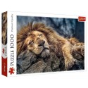 PUZZLE LION DORMANT 1000 PIECES 68X48CM - TREFL