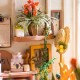Maquette jardin de miller avec led - maison miniature diy - 20x19x21cm-lilojouets-questembert-muzillac-morbihan