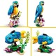 31136 le perroquet exotique - lego creator 3en1-lilojouets-questembert-muzillac-morbihan