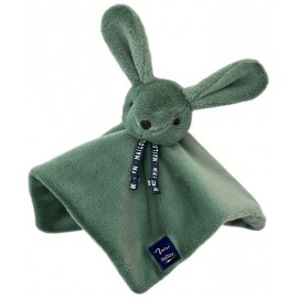 DOUDOU PLAT RENARD DORLOTIN VERT SAUGE 27CM - Fabrication Française-LiloJouets-Questembert-Muzillac-Morbihan