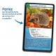 Defis nature animaux de france - 36 cartes - bioviva-lilojouets-questembert-muzillac-morbihan