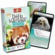 Defis nature trop mignons - 36 cartes - bioviva-lilojouets-questembert-muzillac-morbihan