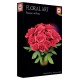 Coffret floral art roses 40cm a assembler - papier carton plastique - educa-lilojouets-questembert-muzillac-morbihan