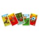 Jeu gang des castors - memoire bluff et coups fourres-lilojouets-questembert-muzillac-morbihan