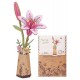 Maquette lys roses - fleurs en bois dans pot - 13x9x25cm 73 pieces - rowood-lilojouets-questembert-muzillac-morbihan