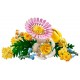 10347 petit bouquet ensoleille - 373 pieces - lego botanicals-lilojouets-questembert-muzillac-morbihan