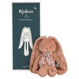 PANTIN POUPEE LAPIN TERRACOTTA 25CM AVEC BOITE - KALOO LAPINOO-LiloJouets-Questembert-Muzillac-Morbihan PANTIN POUPEE LAPIN TERRACOTTA 25CM AVEC BOITE - KALOO LAPINOO-LiloJouets-Questembert-Muzillac-Morbihan