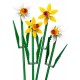 40747 les jonquilles - 4 fleurs - lego-5702017606019-lilojouets-questembert-muzillac-morbihan