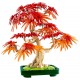 10348 bonsai d'erable rouge du japon 474 pieces - lego botanicals-5702017814674-lilojouets-questembert-muzillac-morbihan