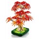 10348 bonsai d'erable rouge du japon 474 pieces - lego botanicals-5702017814674-lilojouets-questembert-muzillac-morbihan