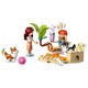 42641 chiens surfeurs et aventures en scooter - 113 pieces - lego friends-5702017783710-lilojouets-questembert-muzillac-morbihan