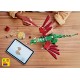 31161 le dragon medieval - lego creator 3en1-5702017822266-lilojouets-questembert-muzillac-morbihan