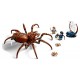 76434 aragog dans la foret interdite - lego harry potter-5702017599519-lilojouets-questembert-muzillac-morbihan