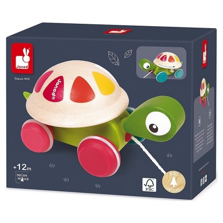 TORTUE EN BOIS A PROMENER - GAMME ZIGOLOS JANOD-3700217382360-Lilojouets-Questembert-Muzillac-Morbihan