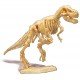 Coffret dinodig tyrannosaurus dans platre avec vraie dent - squelette a deterrer-3700802105947-lilojouets-questembert-muzillac-m