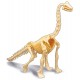 Coffret dinodig brachiosaurus dans platre avec vraie dent - squelette a deterrer-3700802105961-lilojouets-questembert-muzillac-m