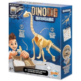COFFRET DINODIG BRACHIOSAURUS DANS PLATRE AVEC VRAIE DENT - SQUELETTE A DETERRER