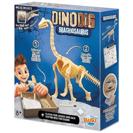 COFFRET DINODIG BRACHIOSAURUS DANS PLATRE AVEC VRAIE DENT - SQUELETTE A DETERRER-3700802105961-Lilojouets-Questembert-Muzillac-M