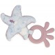 Anneau dentition peluche etoile de mer - kaloo-3666502110035-lilojouets-questembert-muzillac-morbihan