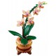 10343 l'orchidee miniature - 274 pieces - lego botanicals-5702017814643-lilojouets-questembert-muzillac-morbihan