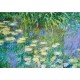 Puzzle claude monet nympheas 1000 pieces 68x48cm - calypto-3373910070157-lilojouets-questembert-muzillac-morbihan
