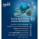 Veilleuse projecteur tortue aquadream effets aquatiques - pabobo-3760125262390-lilojouets-questembert-muzillac-morbihan