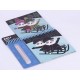 Bloc 8 cartes a gratter 14x14cm animaux hiver - magic scratch winter - apli kids-8410782165248-lilojouets-questembert-muzillac-m