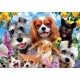 Puzzle selfie d'animaux chats chiens lapins 200 pieces 40x28cm - educa-8412668192935-lilojouets-questembert-muzillac-morbihan