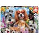 Puzzle selfie d'animaux chats chiens lapins 200 pieces 40x28cm - educa-8412668192935-lilojouets-questembert-muzillac-morbihan