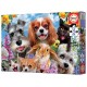 Puzzle selfie d'animaux chats chiens lapins 200 pieces 40x28cm - educa-8412668192935-lilojouets-questembert-muzillac-morbihan