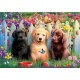 Puzzle chiots 100 pieces 40x28cm - educa-8412668199941-lilojouets-questembert-muzillac-morbihan
