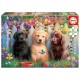 Puzzle chiots 100 pieces 40x28cm - educa-8412668199941-lilojouets-questembert-muzillac-morbihan