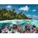 Puzzle plongee aux maldives 2000 pieces 98x75cm - ravensburger-4005556174416-lilojouets-questembert-muzillac-morbihan