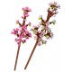 40725 les fleurs de cerisier - 430 pieces - lego botanicals-5702018213797-lilojouets-questembert-muzillac-morbihan