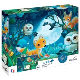 PUZZLES AU CLAIR DE LUNE 2X24 PIECES 33X23CM AVEC 2 POSTERS - CALYPTO-3373910077064-Lilojouets-Questembert-Muzillac-Morbihan