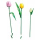 11501 le bouquet de tulipes - 576 pieces - lego botanicals-5702018061770-lilojouets-questembert-muzillac-morbihan