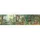 Puzzle dans la foret tropicale 350 pieces 105x28cm avec poster - moulin roty-3575677194415-lilojouets-questembert-muzillac-morbi