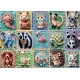 Puzzle animaux au crochet 1000 piÈces 68x48cm poster inclus - tea time trefl-5900511120936-lilojouets-questembert-muzillac-morbi