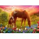 Puzzle chevaux dans la prairie 500 piÈces 48x34cm - trefl-5900511374513-lilojouets-questembert-muzillac-morbihan