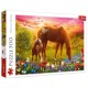 Puzzle chevaux dans la prairie 500 piÈces 48x34cm - trefl-5900511374513-lilojouets-questembert-muzillac-morbihan