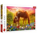 PUZZLE CHEVAUX DANS LA PRAIRIE 500 PIÈCES 48X34CM - TREFL