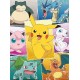 Puzzle types de pokemon - 250 piÈces 49x36cm avec trieur - nathan-4005556868827-lilojouets-questembert-muzillac-morbihan